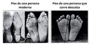 diferencia en pies de calzado tradicional y minimalista
